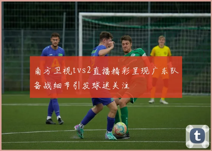 南方卫视tvs2直播精彩呈现广东队备战细节引发球迷关注