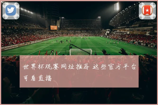 世界杯观赛网址推荐 这些官方平台可看直播