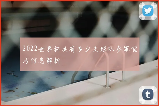 2022世界杯共有多少支球队参赛官方信息解析