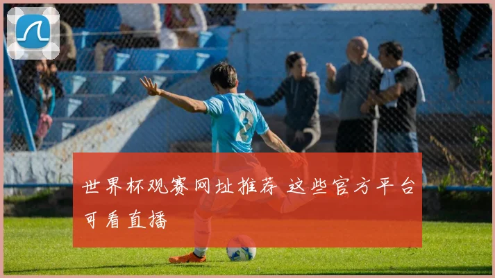 世界杯观赛网址推荐 这些官方平台可看直播